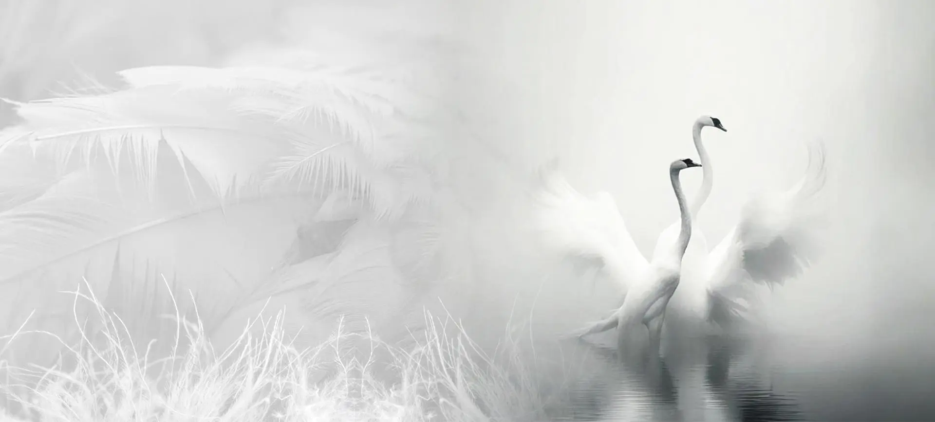 Zhejiang Shengjie Down Products Co., Ltd.