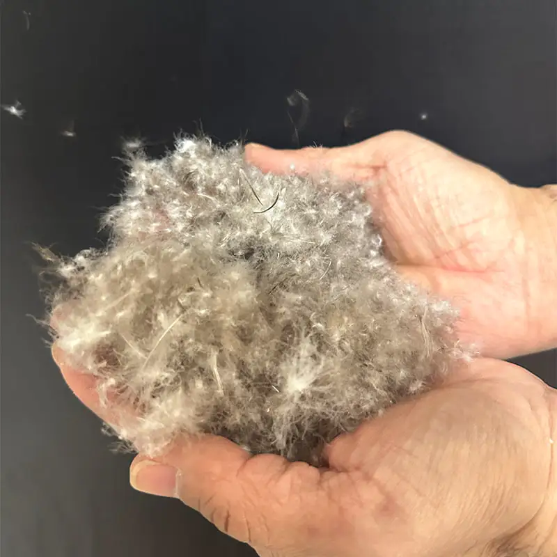 80% puf de rață gri