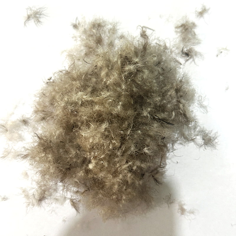 50% puf de rață gri 50% puf de rață gri