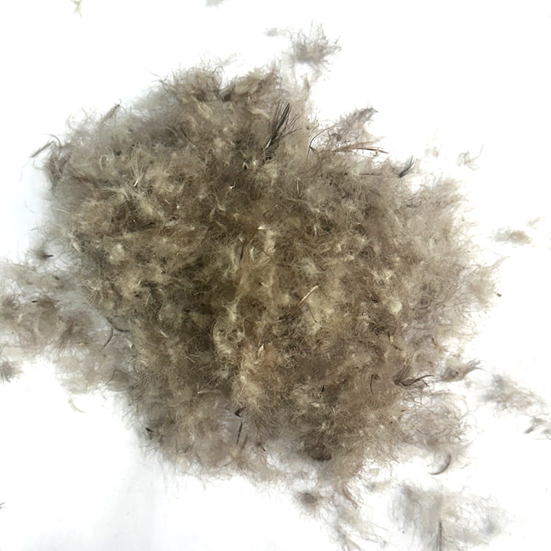 50% puf de rață gri 50% puf de rață gri