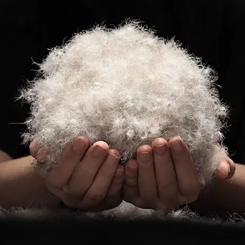 50% puf de rață gri 50% puf de rață gri