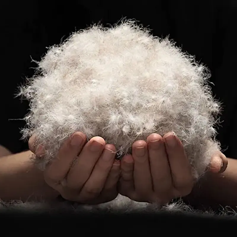 90% puf de rață gri