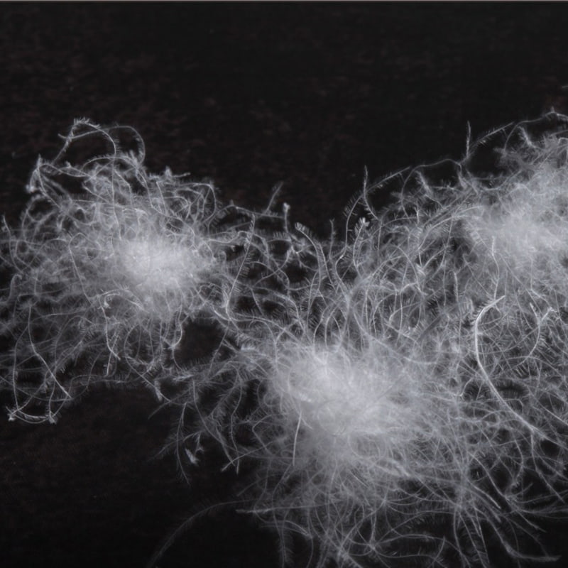 80% puf de gâscă albă 80% puf de gâscă albă