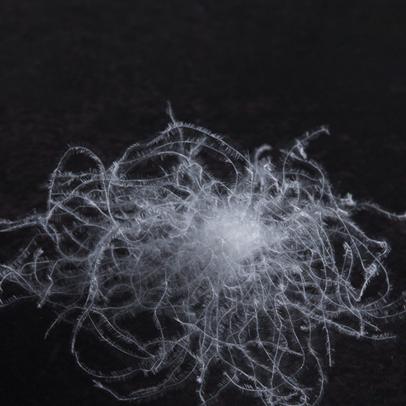 90% puf de gâscă albă 90% puf de gâscă albă