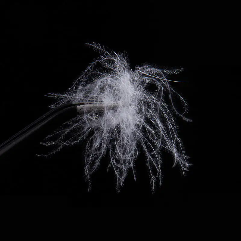 50% puf de rață alb pur